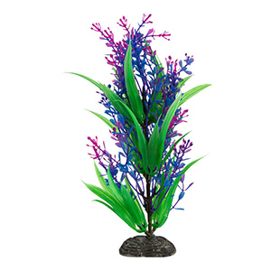 Live aquarium plants pets at outlet home