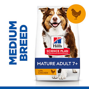 cheapest hills science plan dog food