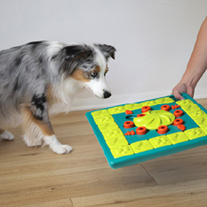 Nina Ottosson Dog Puzzle Dog Worker Composite - Petsonline