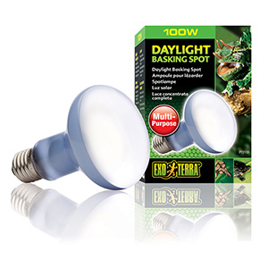 100 watt reptile top bulb