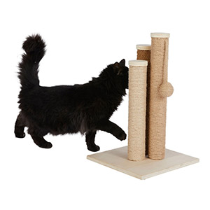 Willows 2025 cat scratcher