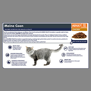 ava maine coon food