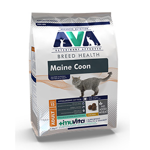 ava maine coon food