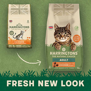 Harringtons Dry Cat Food Chicken 2kg Pets At Home