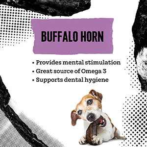 Buffalo horn store for dogs