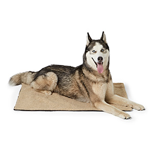 Wainwrights outlet dog blanket