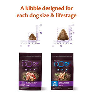 Wellness Core Complete Small/Medium Breed Dry Puppy Food Turkey ...