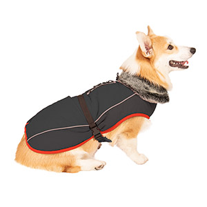 aspen parka for dogs