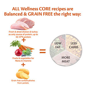 wellness core dog food pets at home