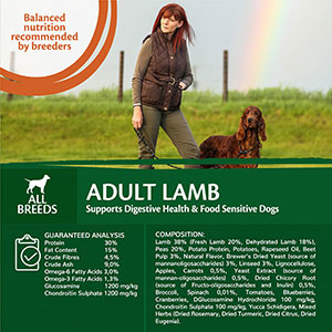 Wellness Core Complete Grain Free All Breeds Dry Adult Dog Food Lamb ...