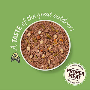Lily's Kitchen Grain Free Proper Food for Dogs Multipack 6 x 150g ...