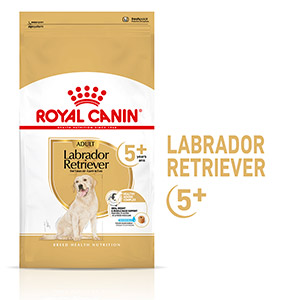 Royal Canin Labrador Retriever Dry 5+ Dog Food 12kg | Pets At Home