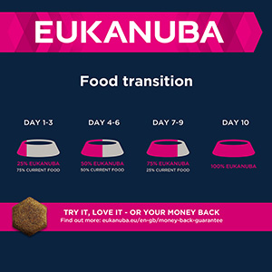 Eukanuba salmon dog outlet food