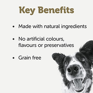 pets at home dog gravy granules