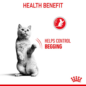 Royal Canin Feline Care Appetite Control Dry Adult Cat Food 3.5kg