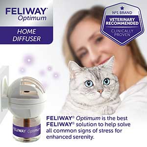 FELIWAY Optimum Enhanced Calming Pheromone Cat Diffuser Kit, On Sale