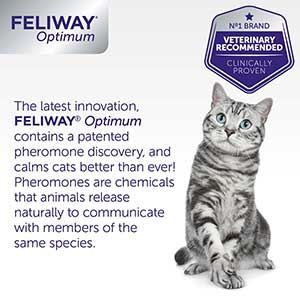 Feliway Optimum Enhanced Diffuser Refill for Cats