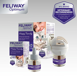 Feliway Optimum Review: 5 reasons to love itand use it