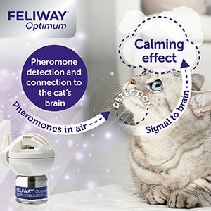 FELIWAY Optimum Diffuser & 30 Day Refill, The Best Solution to Ease cat  Anxiety, cat Conflict and Stress in The Home, 48 ml (Pack of 1)