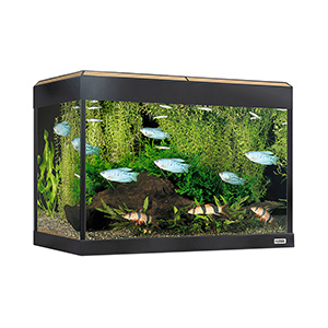 Fluval Roma LED Aquarium and Cabinet Set Oak 90 Litre Pets At Home