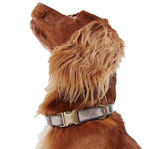 barbour pink dog collar