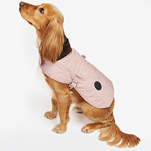pink barbour dog coat