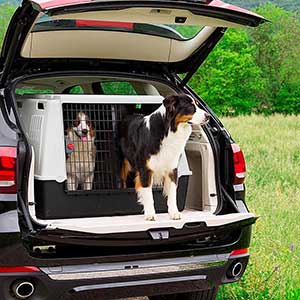 Ferplast atlas car 2025 dog carrier maxi