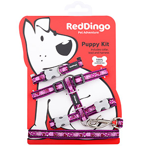 Red dingo harness cheap pets at home