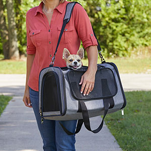 Midwest Duffy Expandable Pet Carrier - Gray - Small