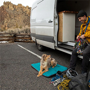 Ruffwear mt outlet bachelor pad