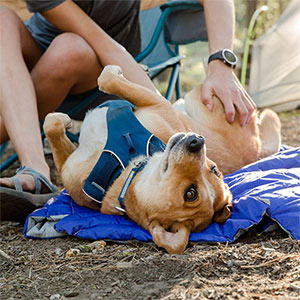 Ruffwear Highlands Dog Sleeping Bag Huckleberry Blue Medium Pets