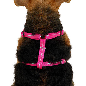 pink dog harness pets at home