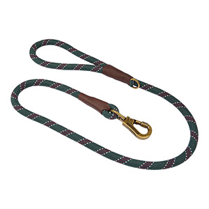 green rope dog lead