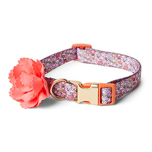 Pets at Home Floral Flower Dog Collar Pink | Pets At Home