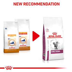 Royal canin 2024 cat kidney diet