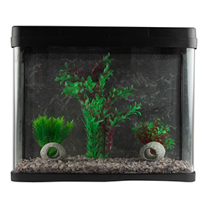 Pets at clearance home fish gravel