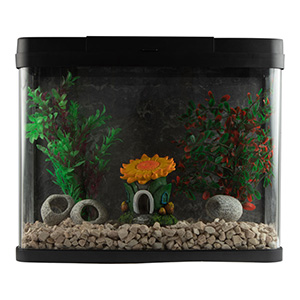 pets at home aquarium rocks