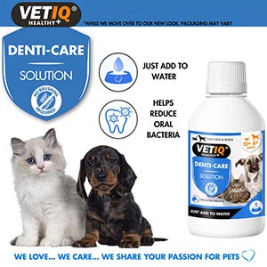 Liquid oral hotsell care for dogs