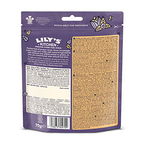 lily's kitchen senior dog food pets at home