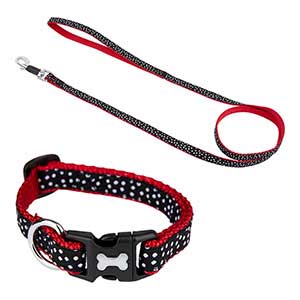 just for puppy collar and lead set