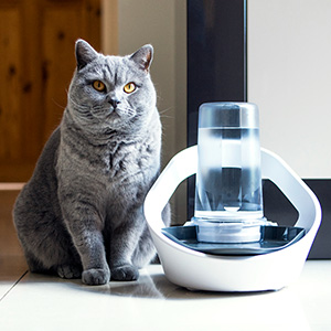 SureFlap Sure Petcare Felaqua Connect Pet Water Bowl White | Pets At Home