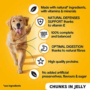Pedigree Dog Mixed Selection in Jelly Jumbo 24x385g Tins | Pets At Home