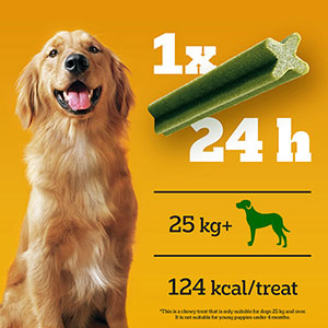 Pedigree dentastix clearance fresh biscuit