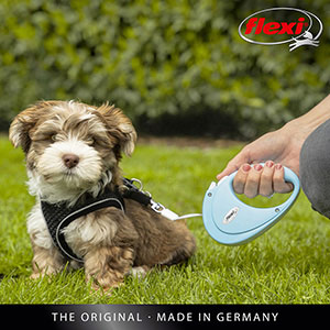 Pets at home hot sale dog leads retractable