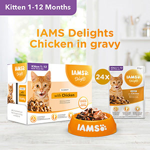 Iams 2024 delights kitten