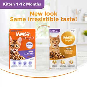 Iams Delights Wet Kitten Food Chicken in Gravy 24 x 85g Pouch