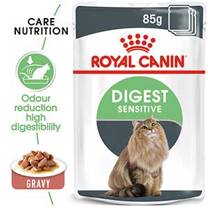 Royal canin digestive discount wet cat food