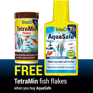 Tetra AquaSafe Water Conditioner Care with Tetra Min Tropical Fish Flake  Food