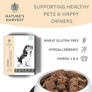 healthy harvest dog food