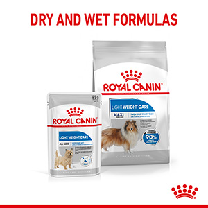 Royal canin hot sale light 10kg